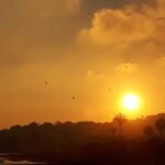 foto de COMPASS FISIOTERAPIA Carmen Grijalba - Fisioterapeuta y Osteópata