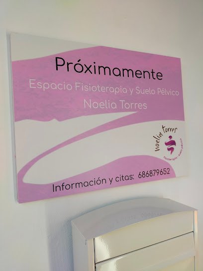 espacio-fisioterapia-y-suelo-p-lvico-noelia-torres-sant-joan-d-alacant