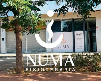 foto de Numa Fisioterapia