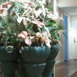 foto de Clínica Eguía Arias