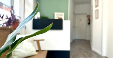 foto de Fisio Midi