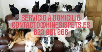 foto de Kinesis Pets